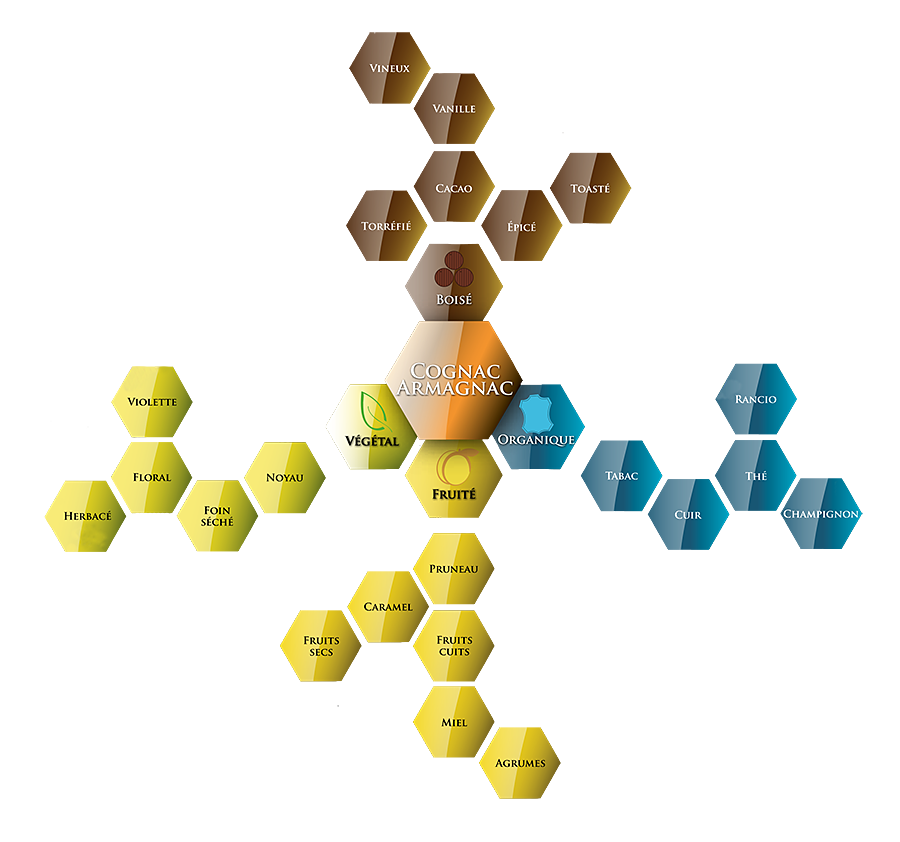 aromes-eaux-de-vie